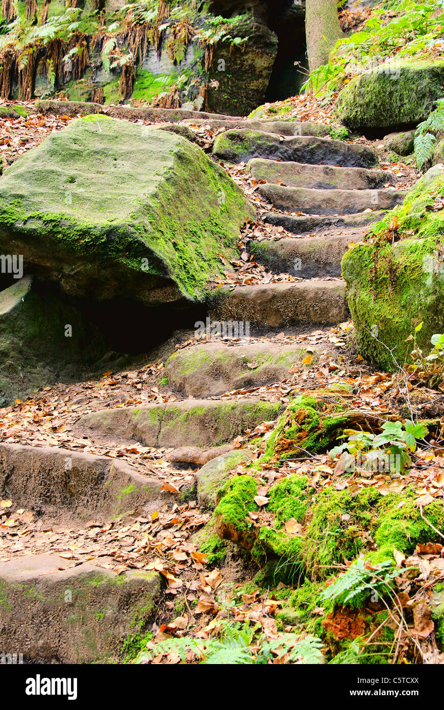 Sandsteintreppe - Schritte aus Sandstein 01 Stockfoto