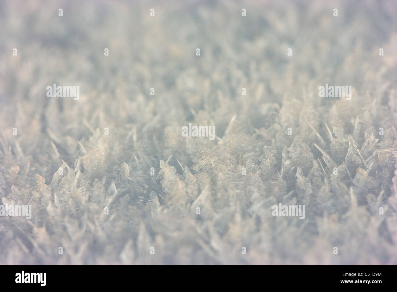 Kristalle von Schnee über Nachttemperaturen durch sehr niedrige gebildet Stockfoto