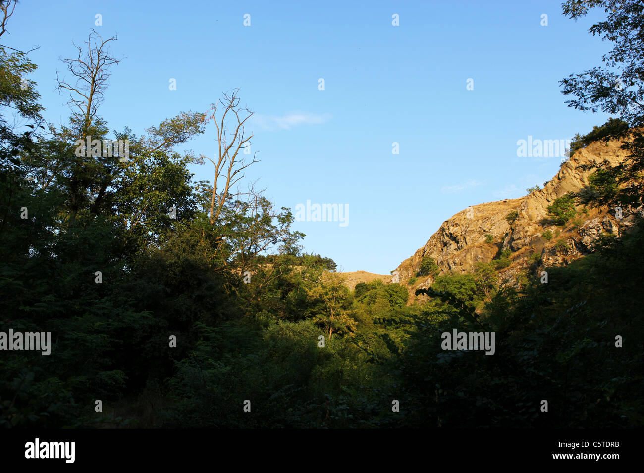 Park-Natur-Landschaft Stockfoto