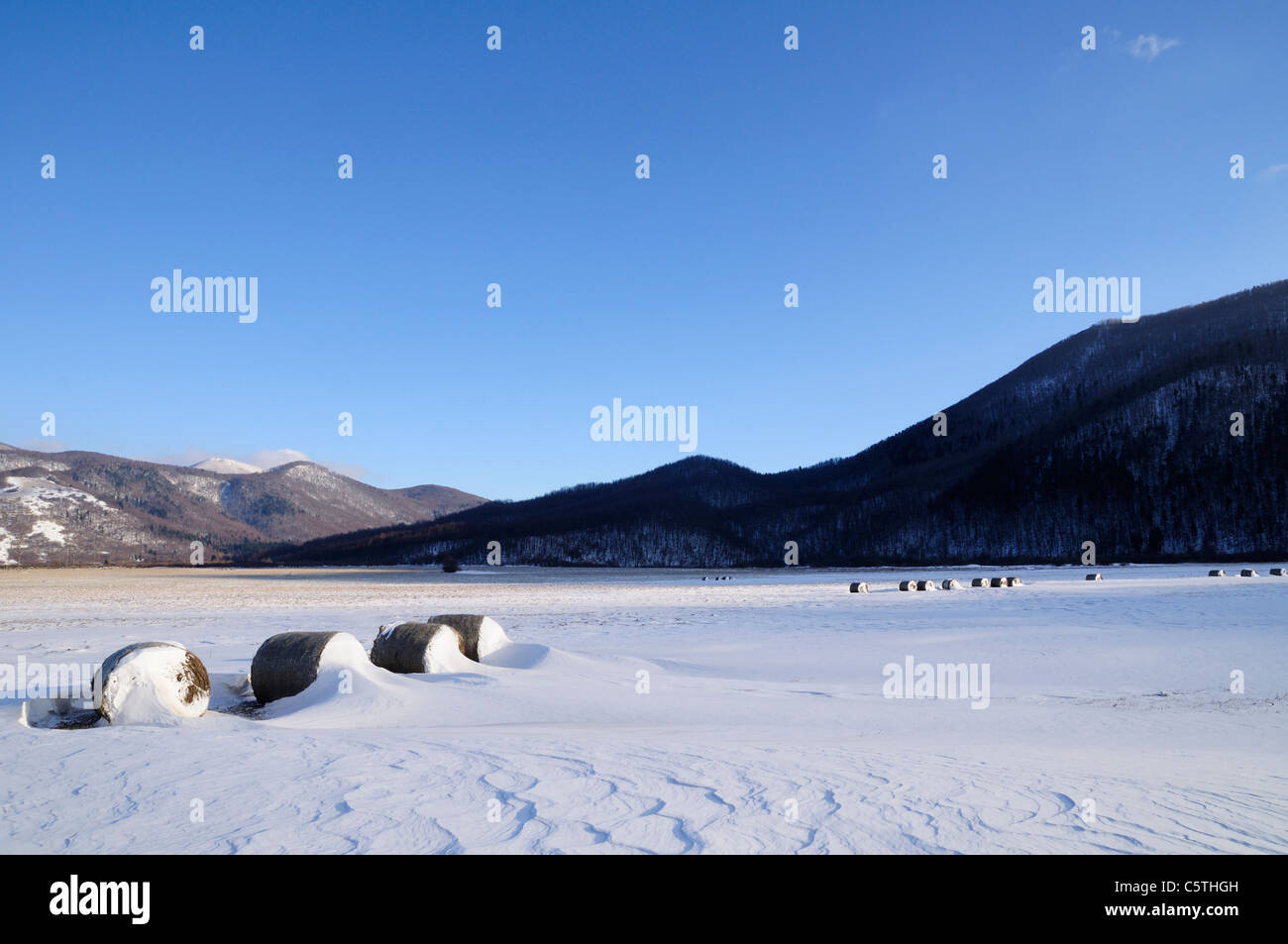 Strohballen auf einem Feld im Winter, Licko Polje, Gorski Kotar, Kroatien Stockfoto