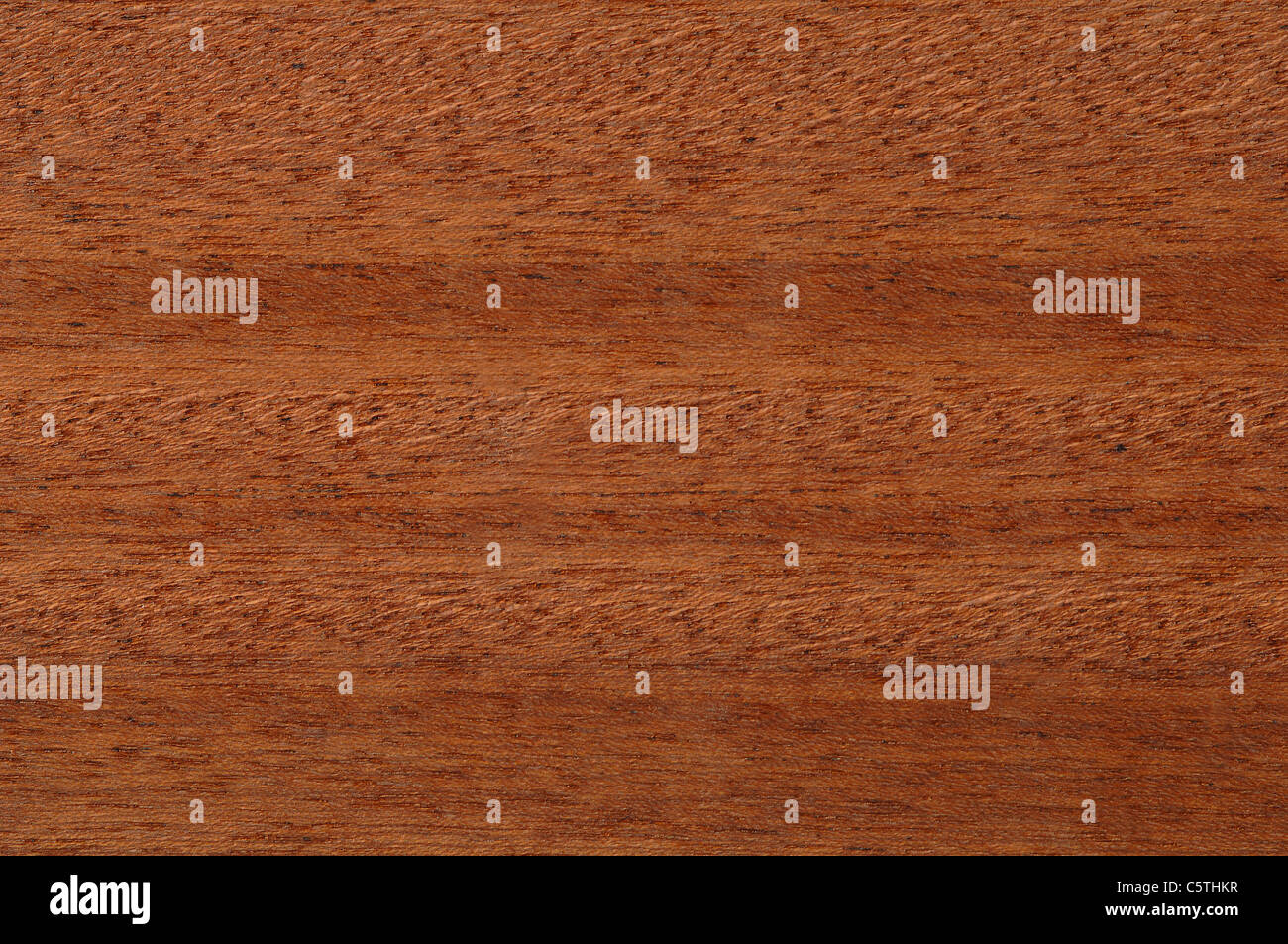 Holz-Oberfläche, Utile Holz (Entandrophragma utile)-full-frame Stockfoto