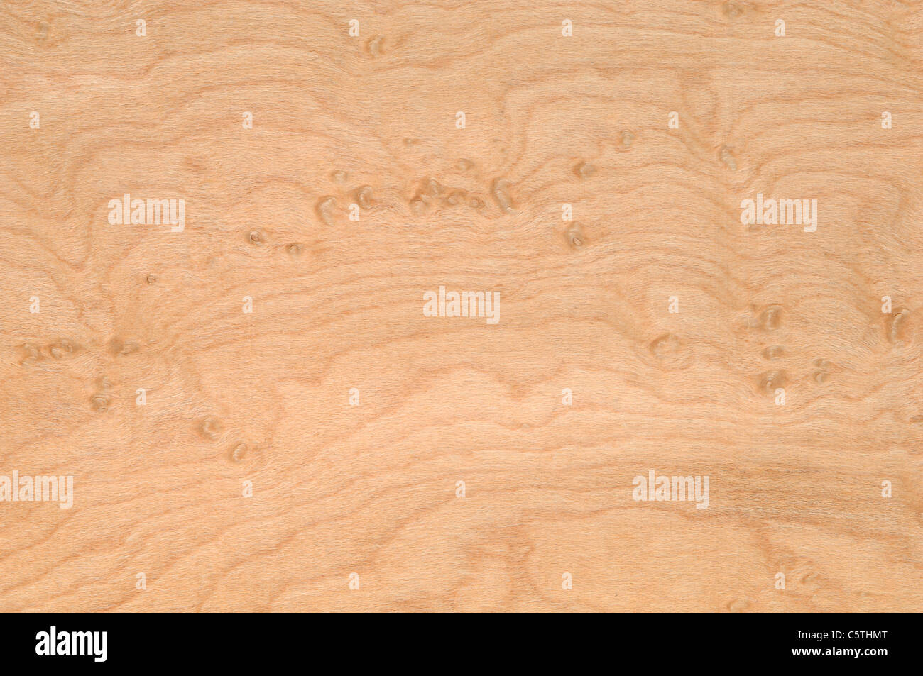 Oberfläche, Birdseye Maple Holz (Acer Saccharum) volle Holzrahmen Stockfoto