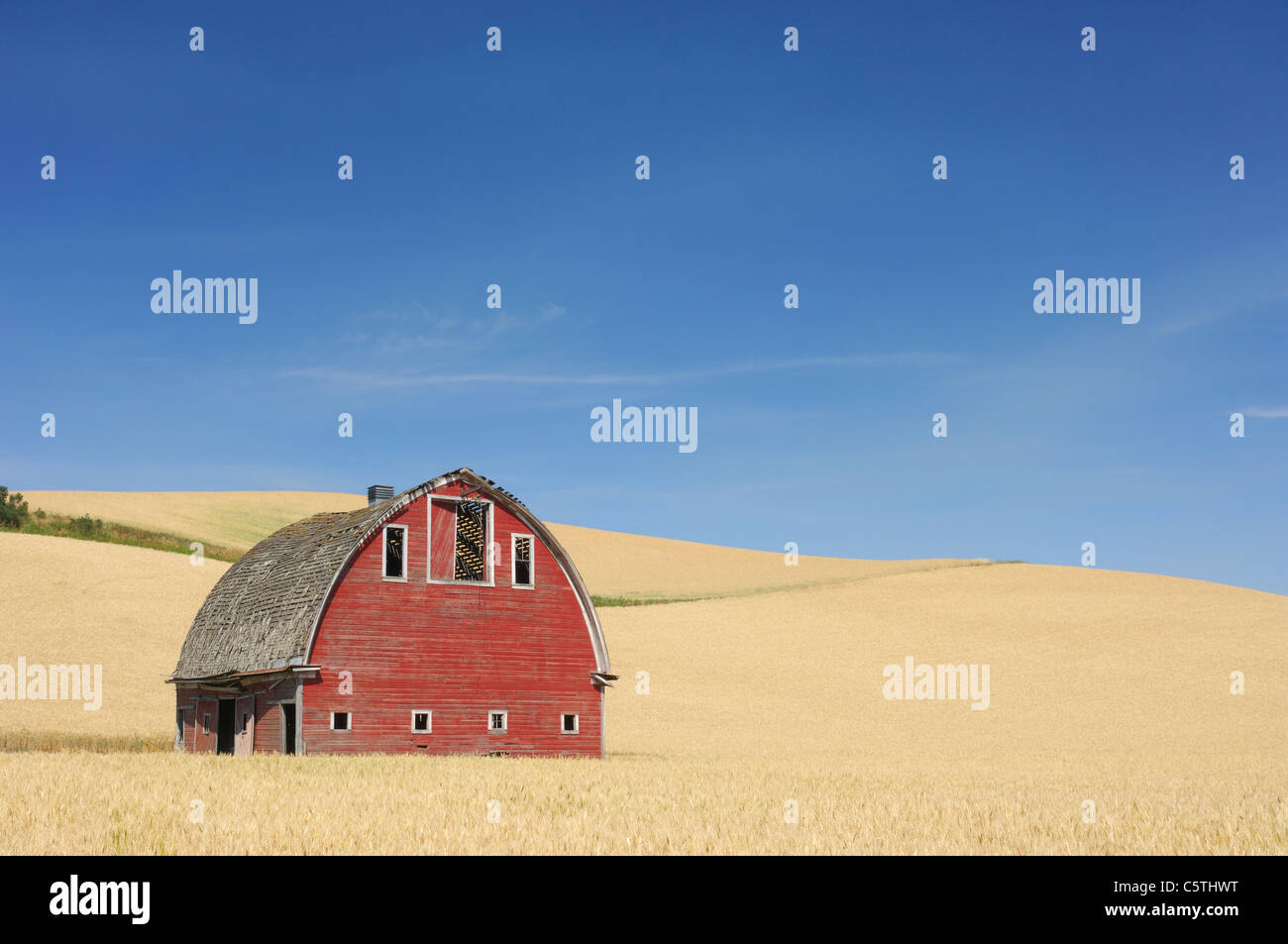 USA, Palouse, Whitman County, Bundesstaat Washington, Scheune im Feld Stockfoto