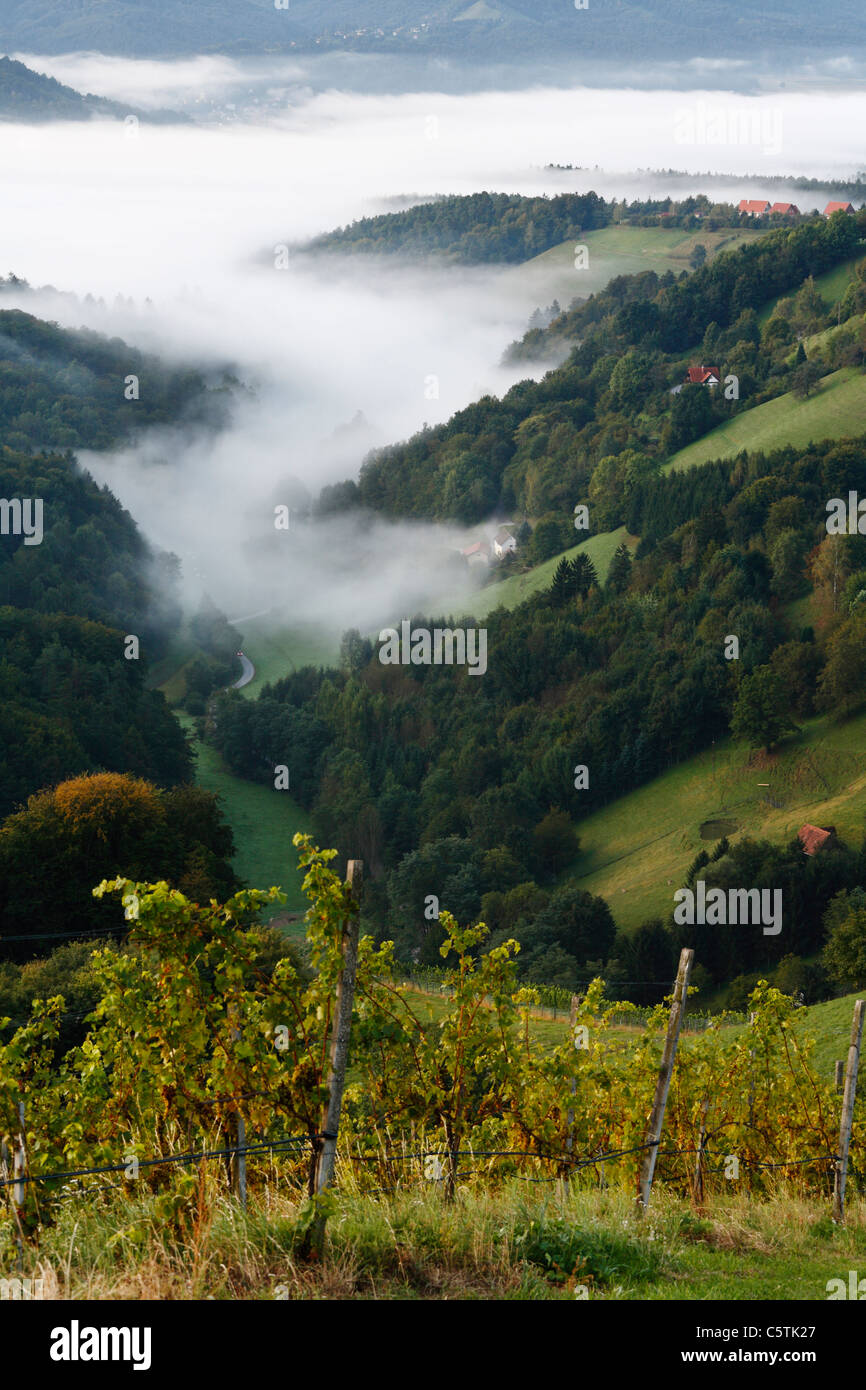 Österreich, Steiermark, Blick auf den Berg im Nebel Stockfoto
