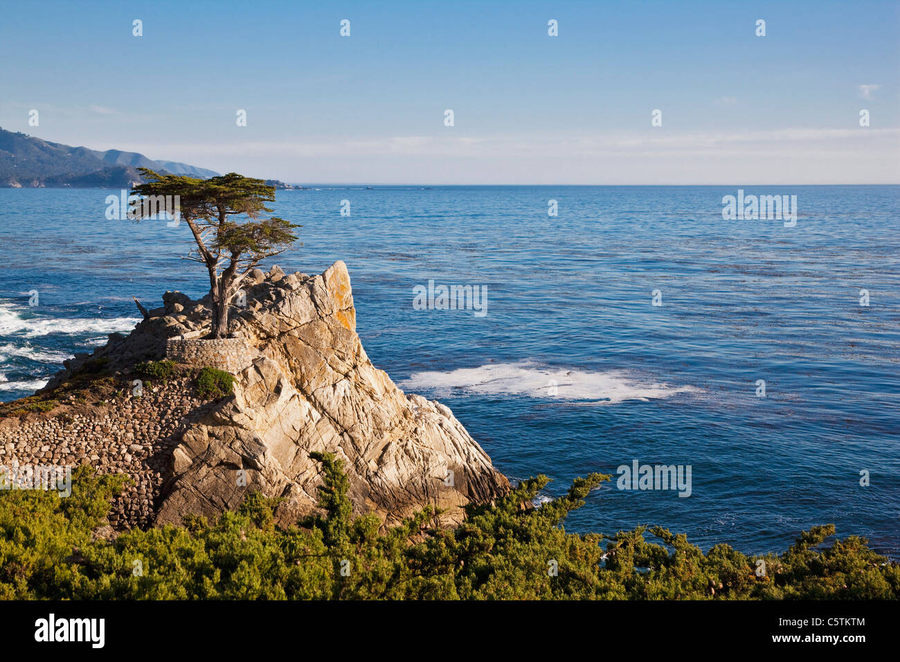 USA, California, Monterey, 17 Mile Drive, Zypressen Stockfoto