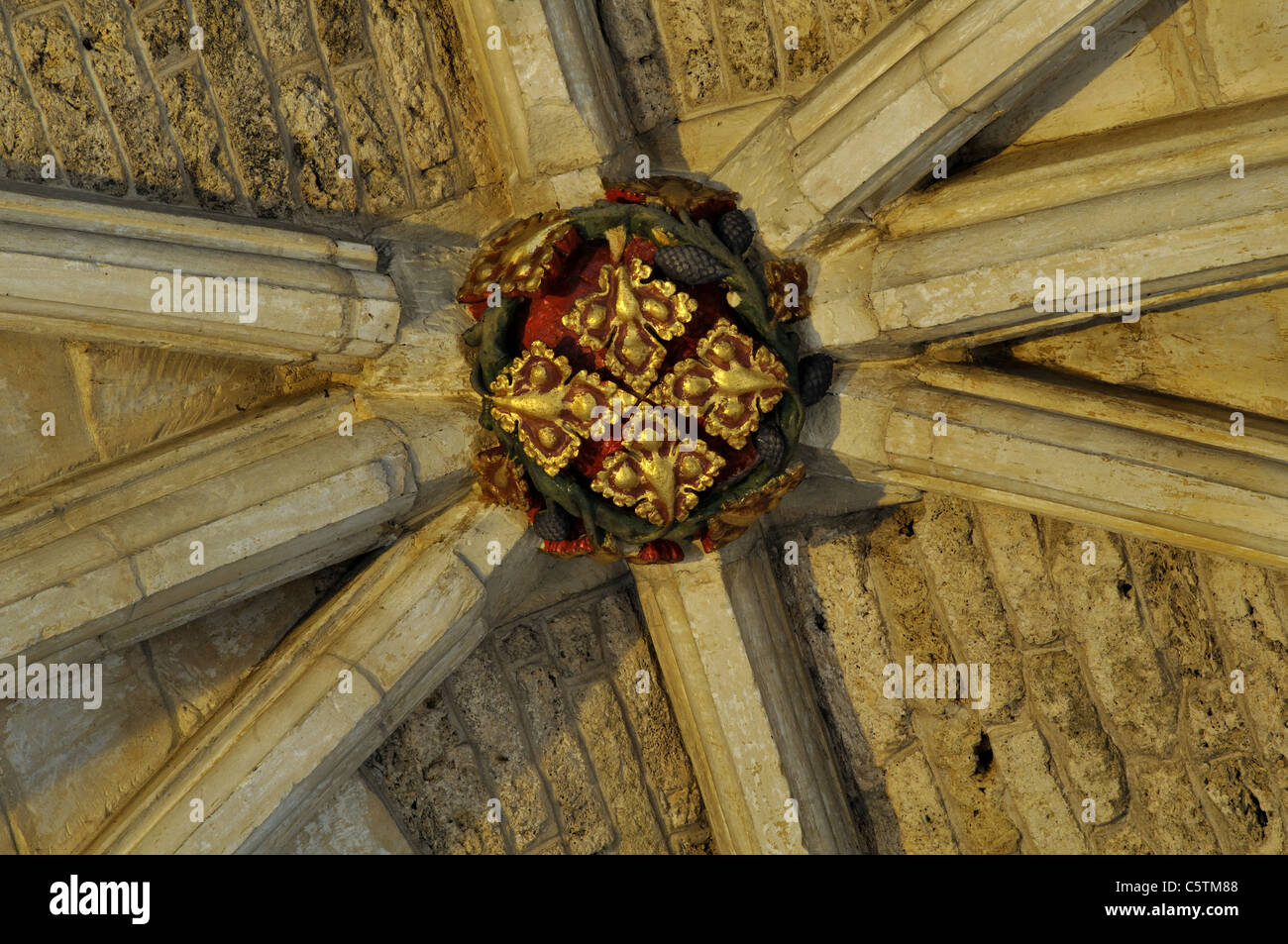 Dach-Chef in Malmesbury Abbey, Wiltshire, England, UK Stockfoto