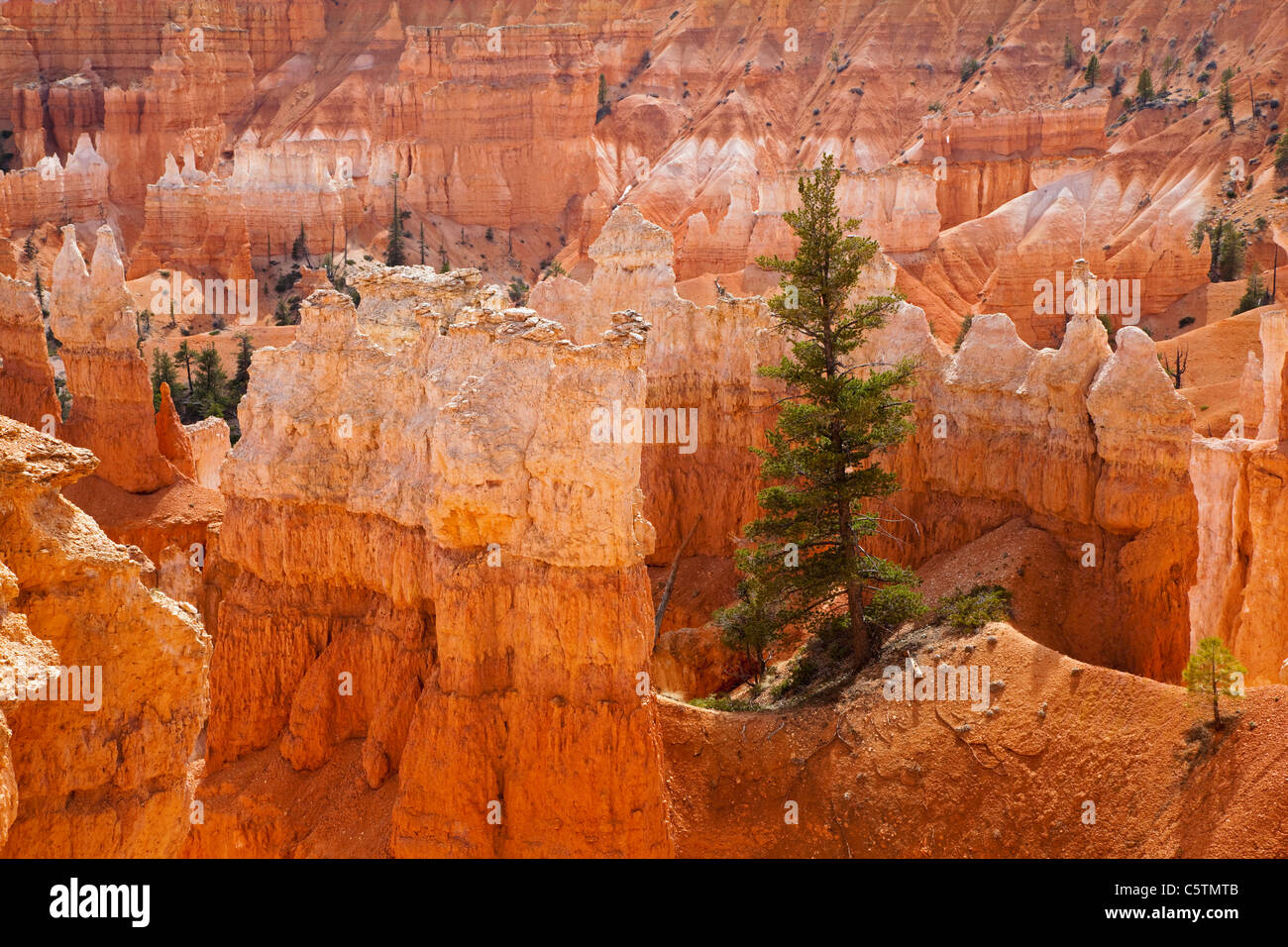 USA, Utah, Bryce-Canyon-Nationalpark Stockfoto