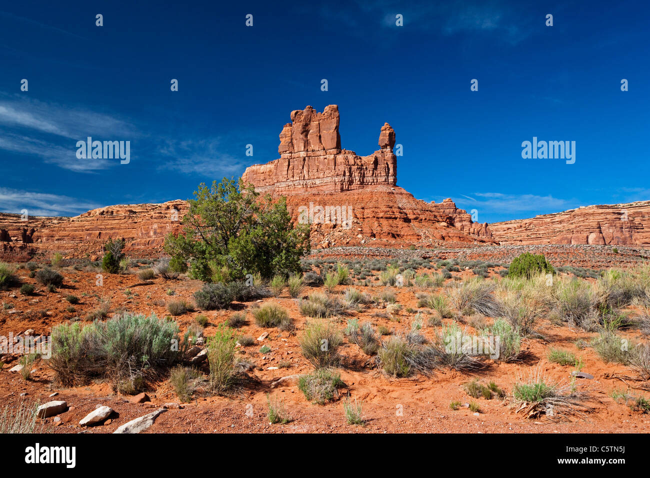 USA, Utah, Valley of the Gods, Wüste Landschaft Stockfoto