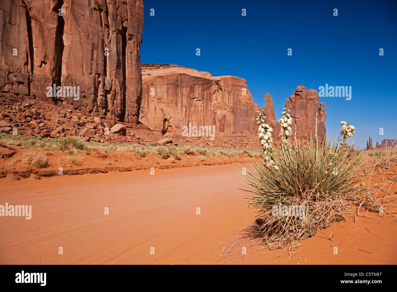 USA, Arizona, Monument Valley, Yucca Pflanze im Vordergrund Stockfoto