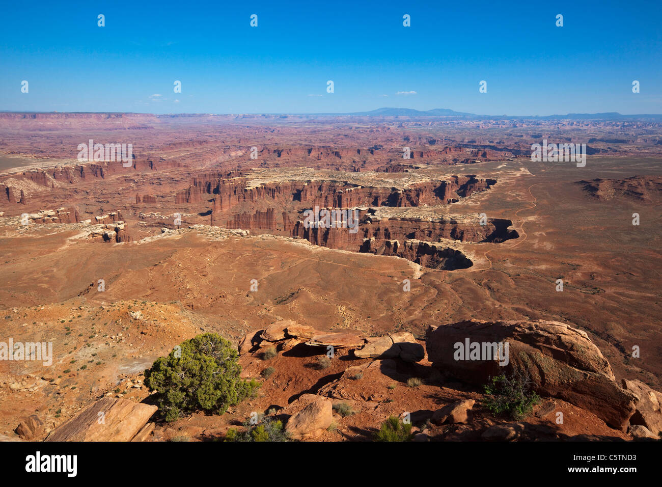 Grand View Point, Moab, Utah, USA übersehen, Canyonlands National Park Stockfoto