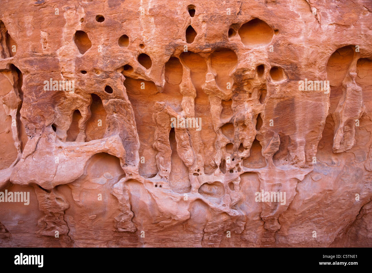 Löcher in Felsen, Arches-Nationalpark, Utah, USA Gesicht, full-Frame, close-up Stockfoto