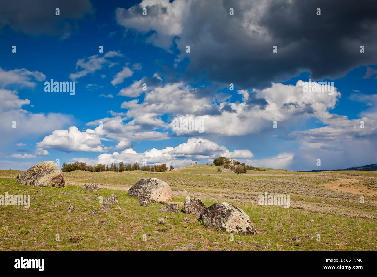 USA, Yellowstone Park, Lamar Valley Stockfoto