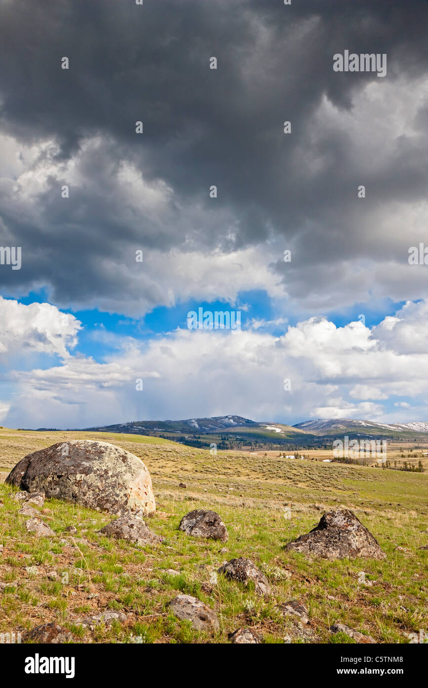 USA, Yellowstone Park, Lamar Valley Stockfoto