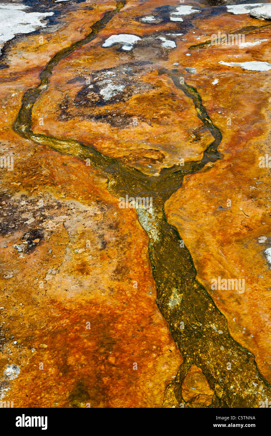 USA, Yellowstone Park, Sprudel Stockfoto