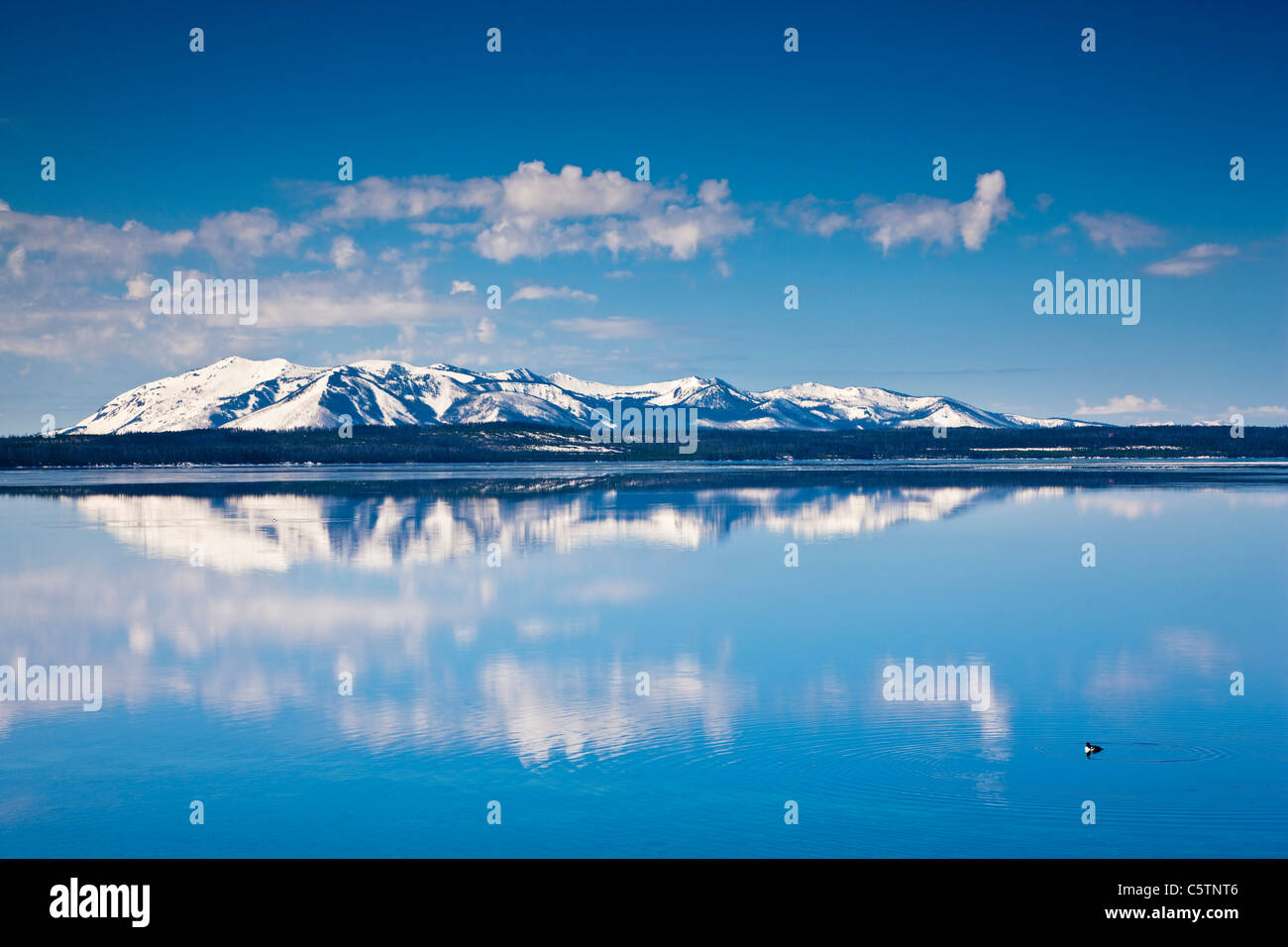 USA, Yellowstone Park, Yellowstone Lake Stockfoto