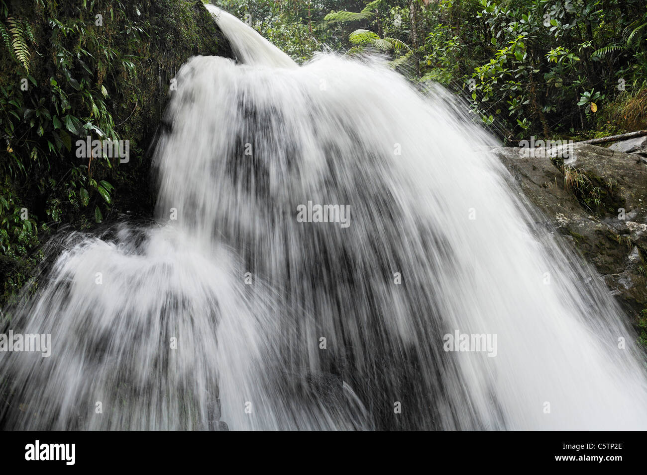 Costa Rica, Las Horquetas, Rara Avis, Blick auf den Wasserfall Stockfoto