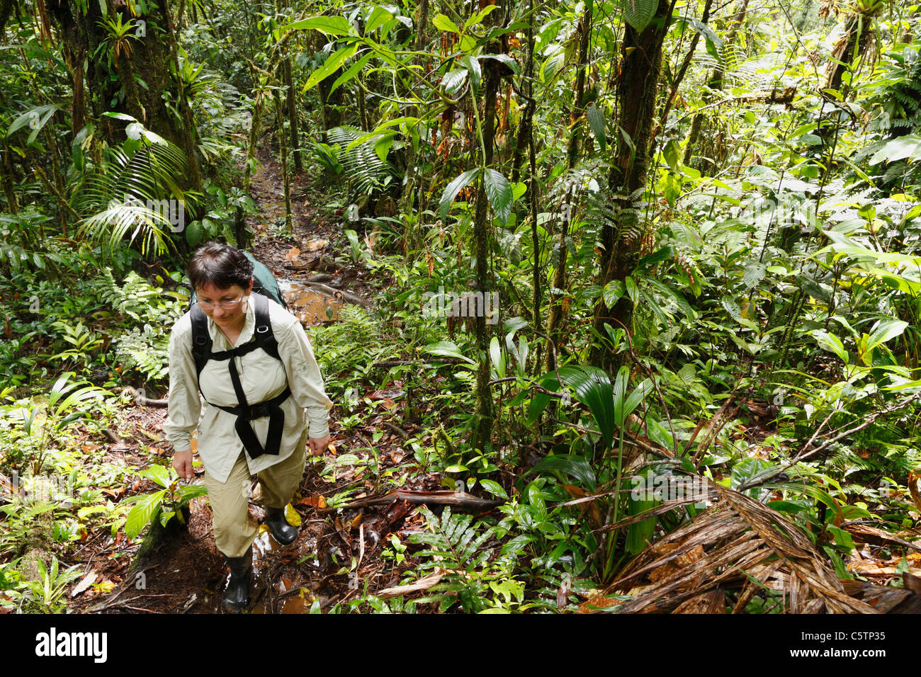 Costa Rica, Las Horquetas, Rara Avis, Frau mit Rucksack im Regenwald Stockfoto