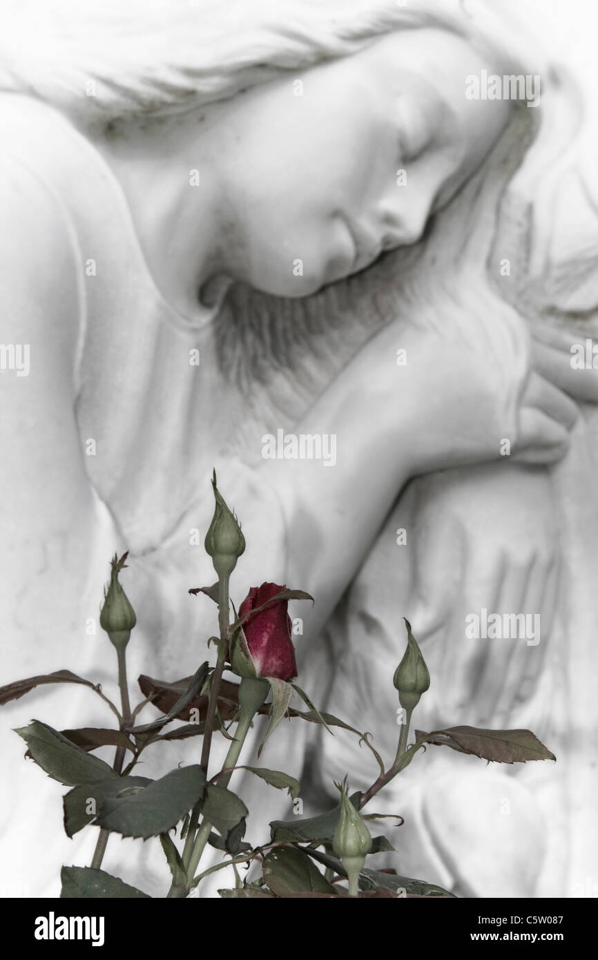 Deutschland, Hamburg, Grabstein und Rosen, Nahaufnahme Stockfoto