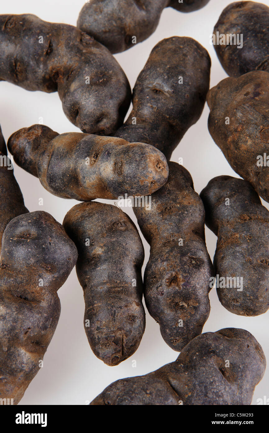 Trüffel de Chine blau-violetten Kartoffeln, erhöhten Blick Stockfoto