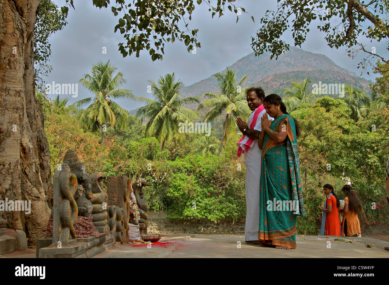 Paar an Bodi Baum Tiruvannamalai Tamil Nadu in Indien beten Stockfoto