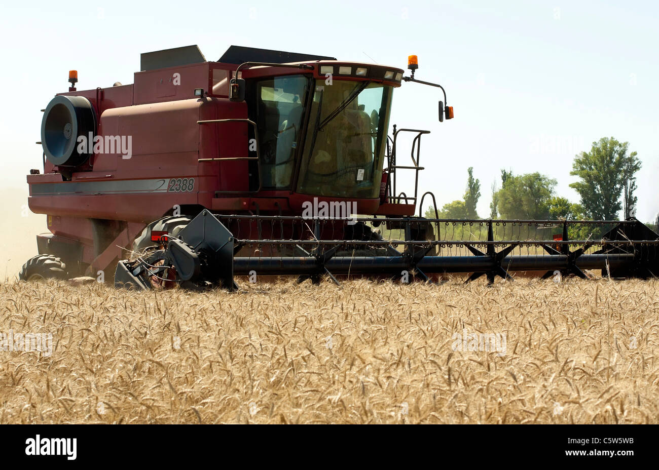 Die Ernte von Getreide Mähdrescher Stockfoto
