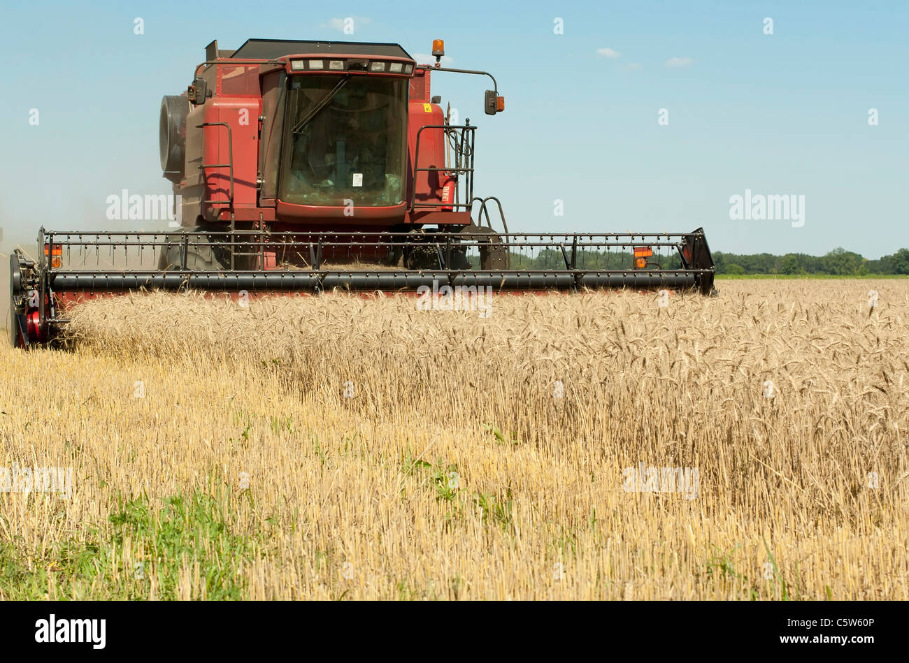 Die Ernte von Getreide Mähdrescher Stockfoto