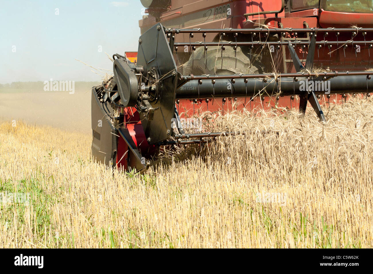 Die Ernte von Getreide Mähdrescher Stockfoto