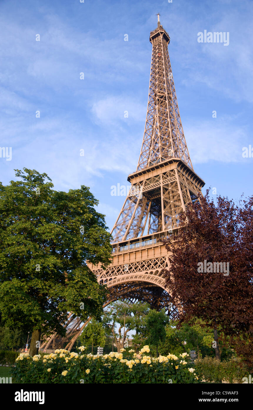 Frankreich, Paris, Eiffelturm, niedrigen Winkel Ansicht Stockfoto