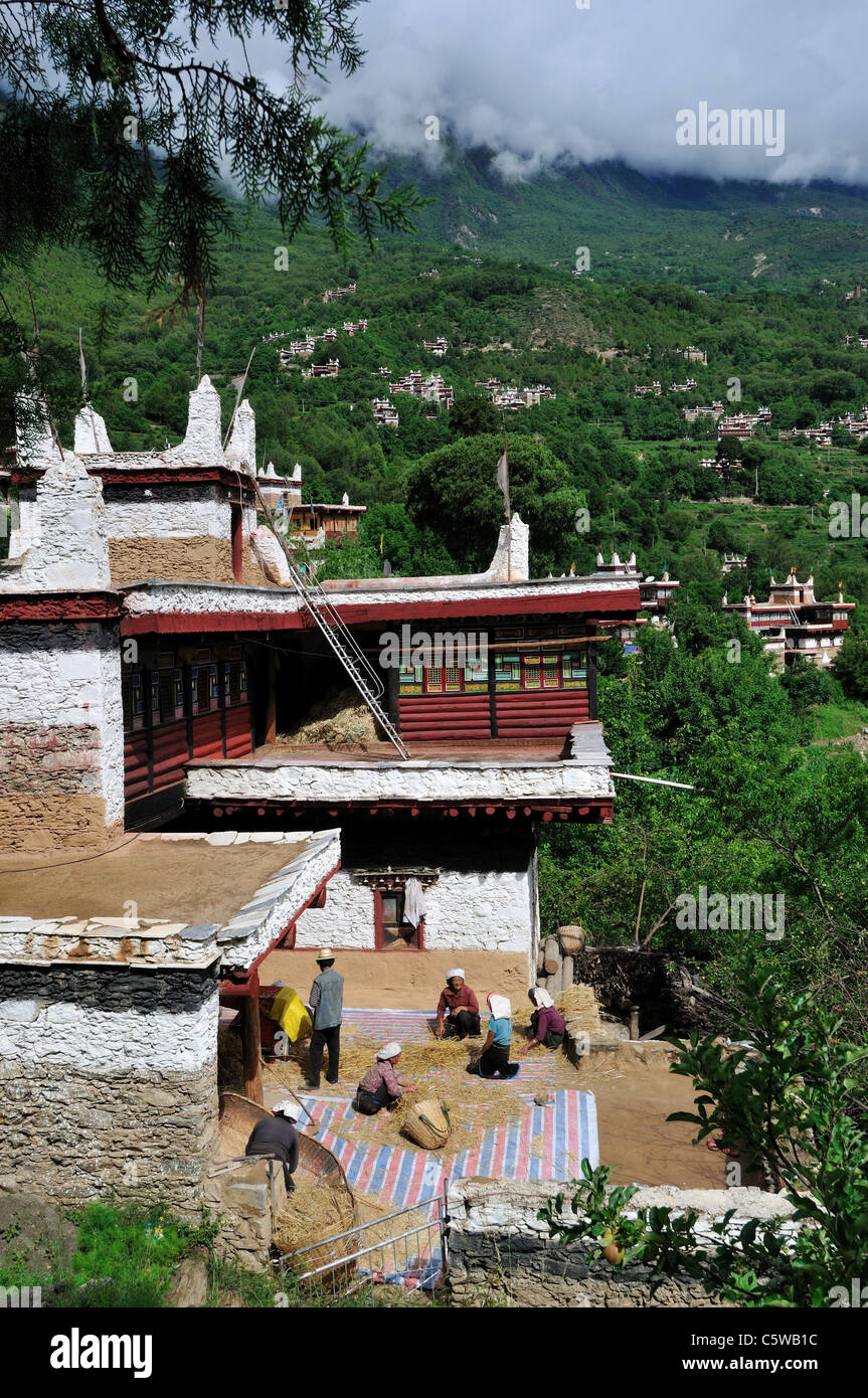 Bauern bearbeiten ihre Ernte im Hinterhof eines tibetischen Hauses. Jiaju tibetischen Dorf, Sichuan, China. Stockfoto