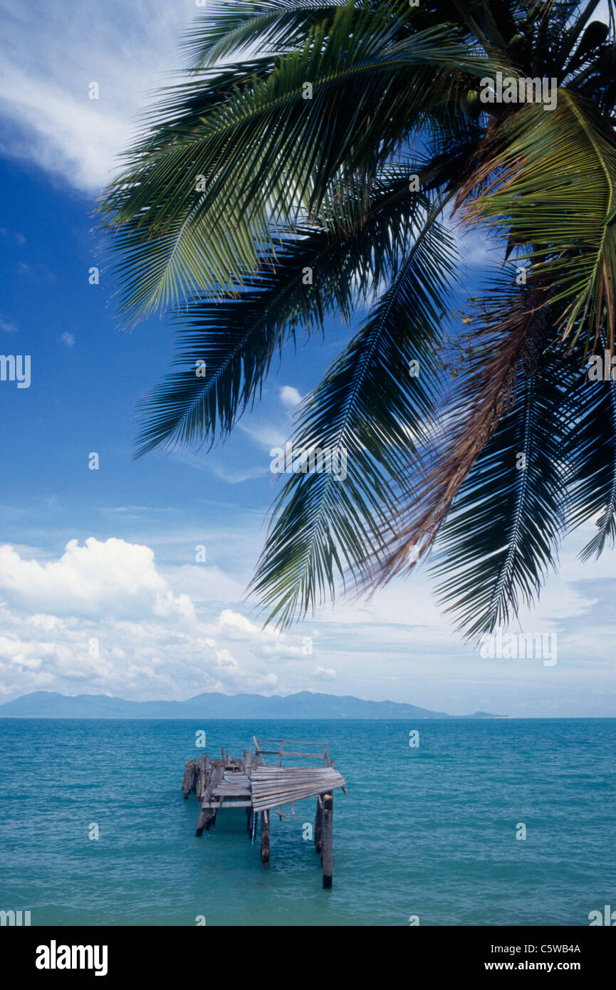 Asien, Thailand, Koh Samui, Meerblick mit Promenade, palm Leaf im Vordergrund Stockfoto