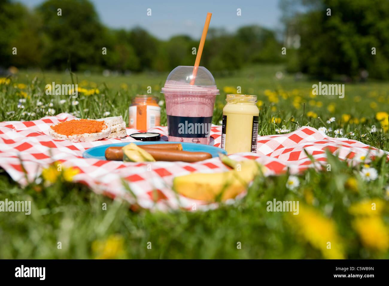 Picknick auf der Wiese Stockfoto