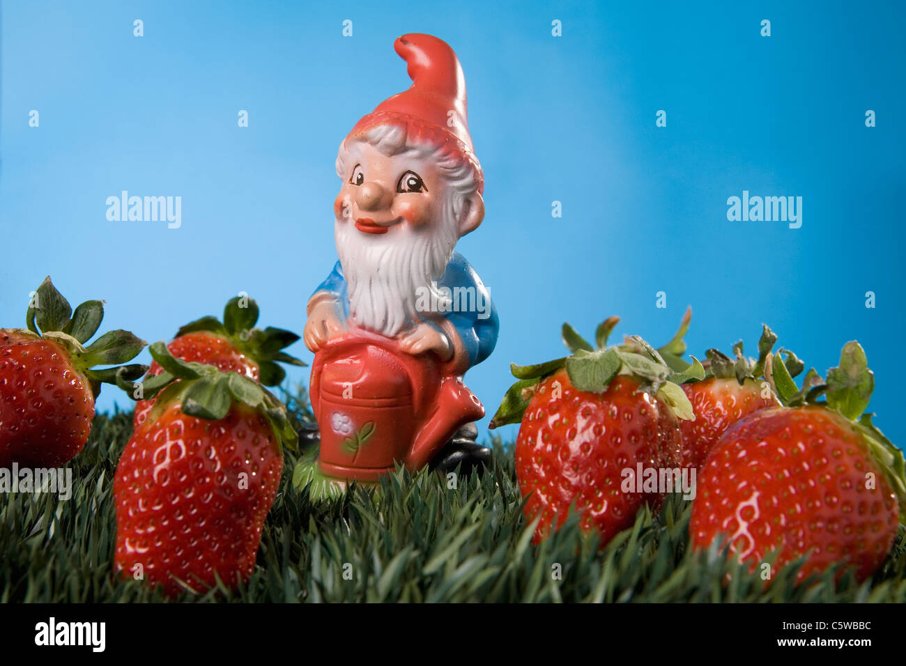 Gartenzwerg, Erdbeeren auf Rasen Stockfoto