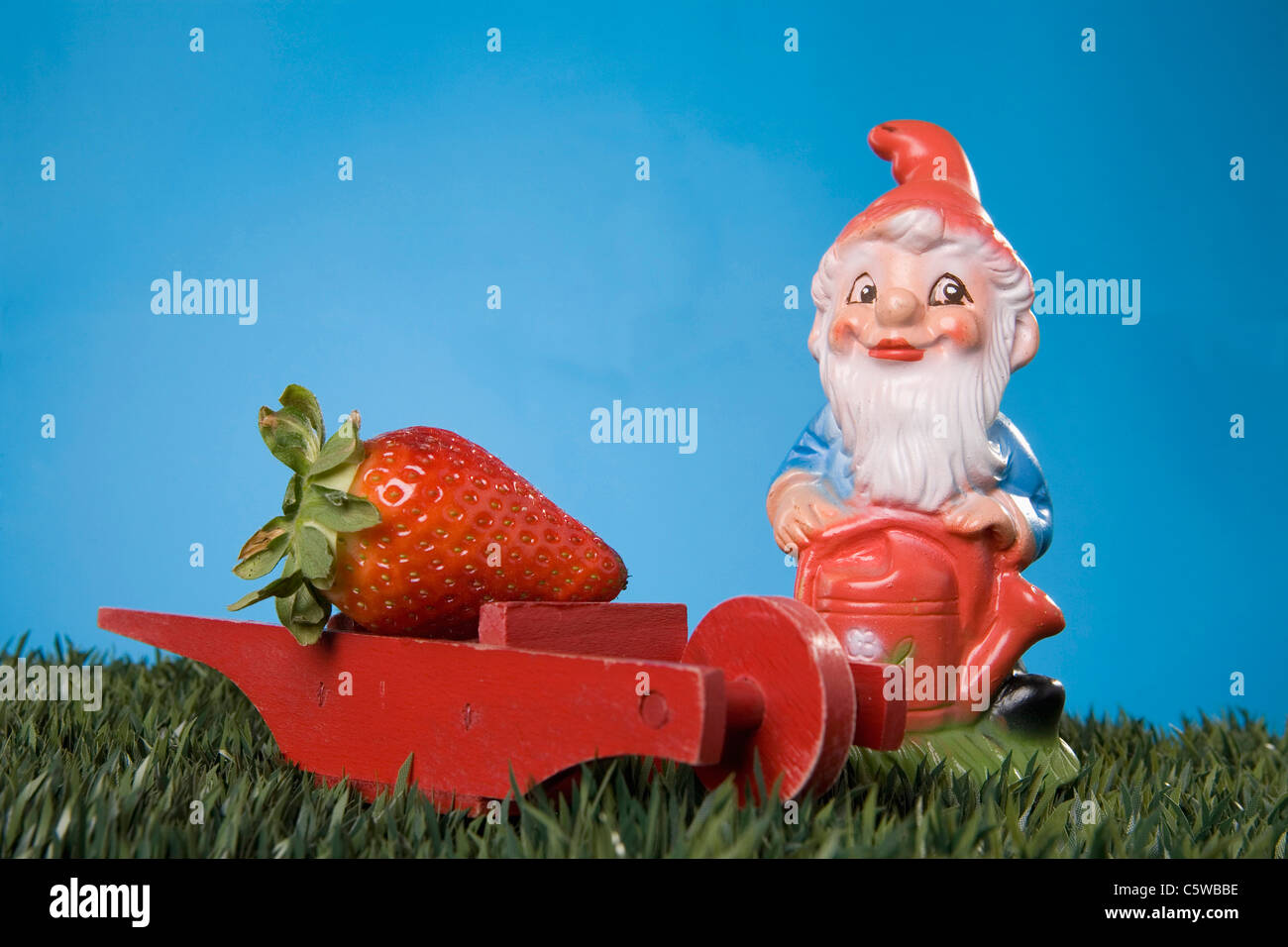 Gartenzwerg, Erdbeere auf Hand barrow Stockfoto