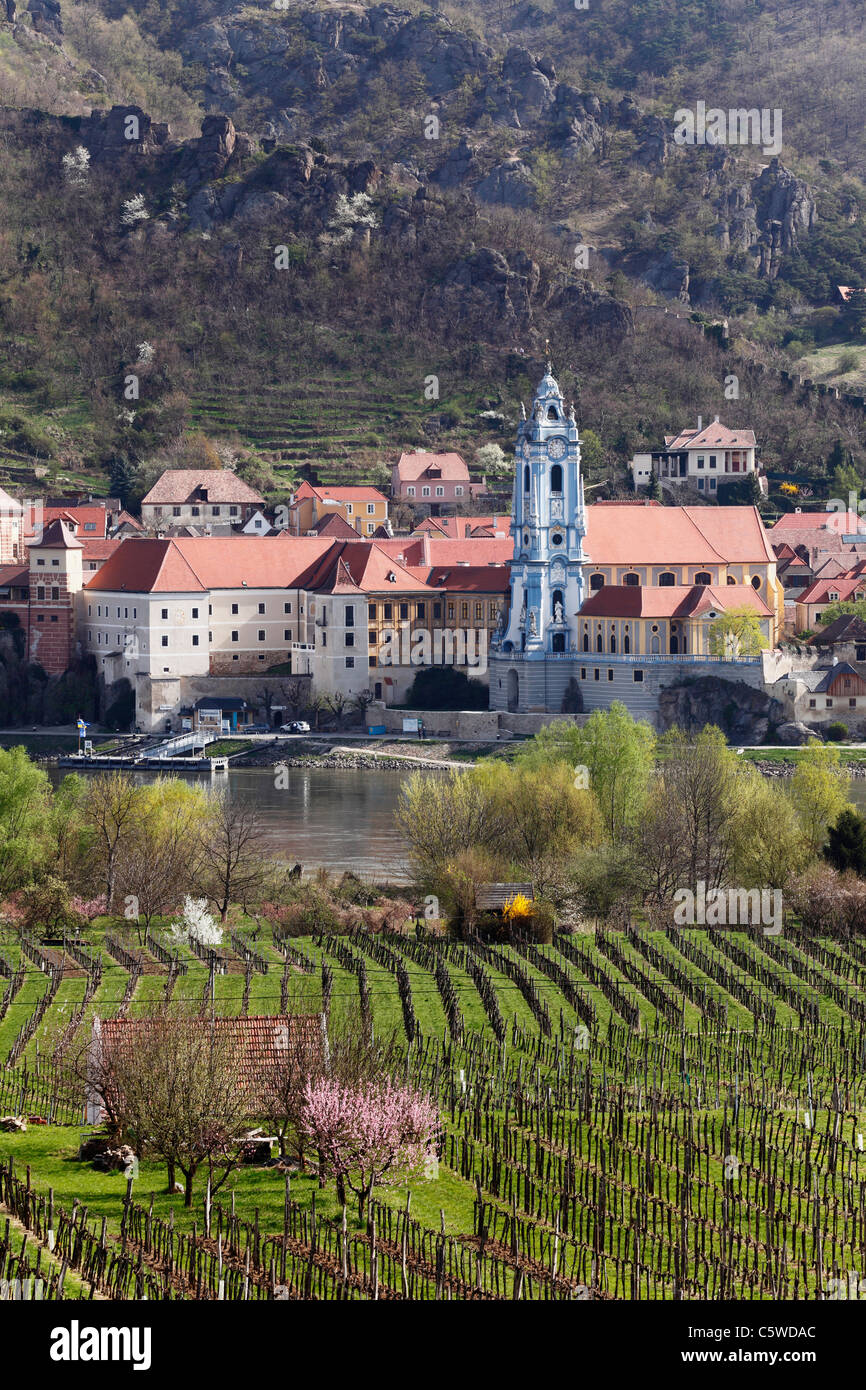 Österreich, Niederösterreich, Wachau, Dürnstein, Blick auf Stadt mit Donau und Weinberg im Vordergrund Stockfoto