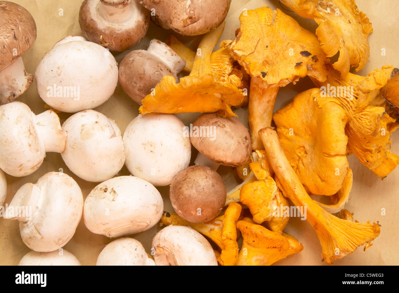 Pilze auf Küche, erhöhten Blick Stockfoto