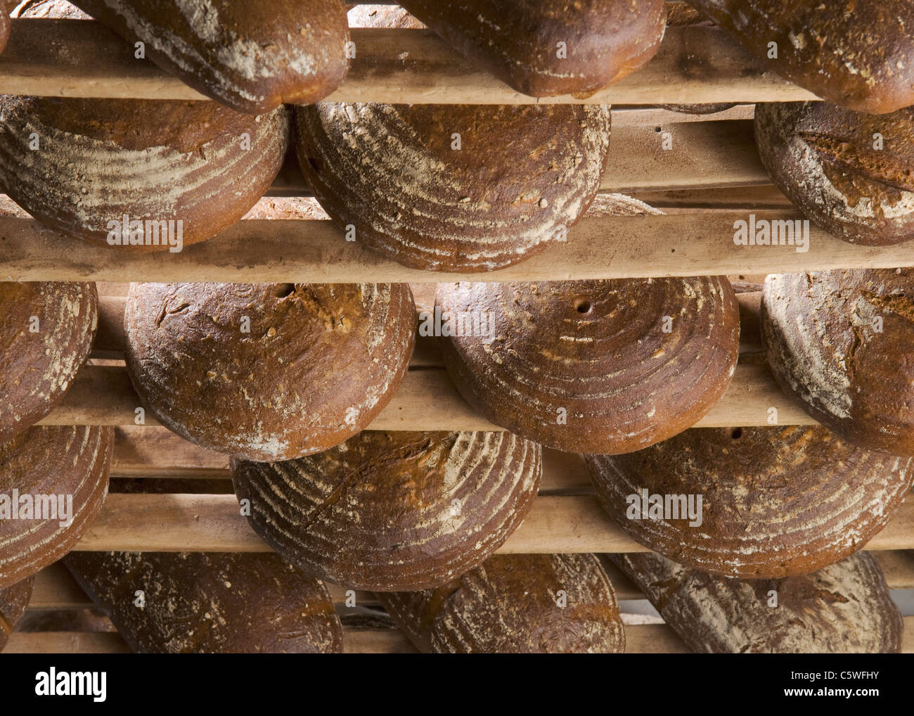 Brote im rack Stockfoto