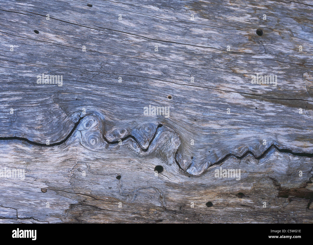 Deutschland, verwittert Baumrinde, Nahaufnahme Stockfoto