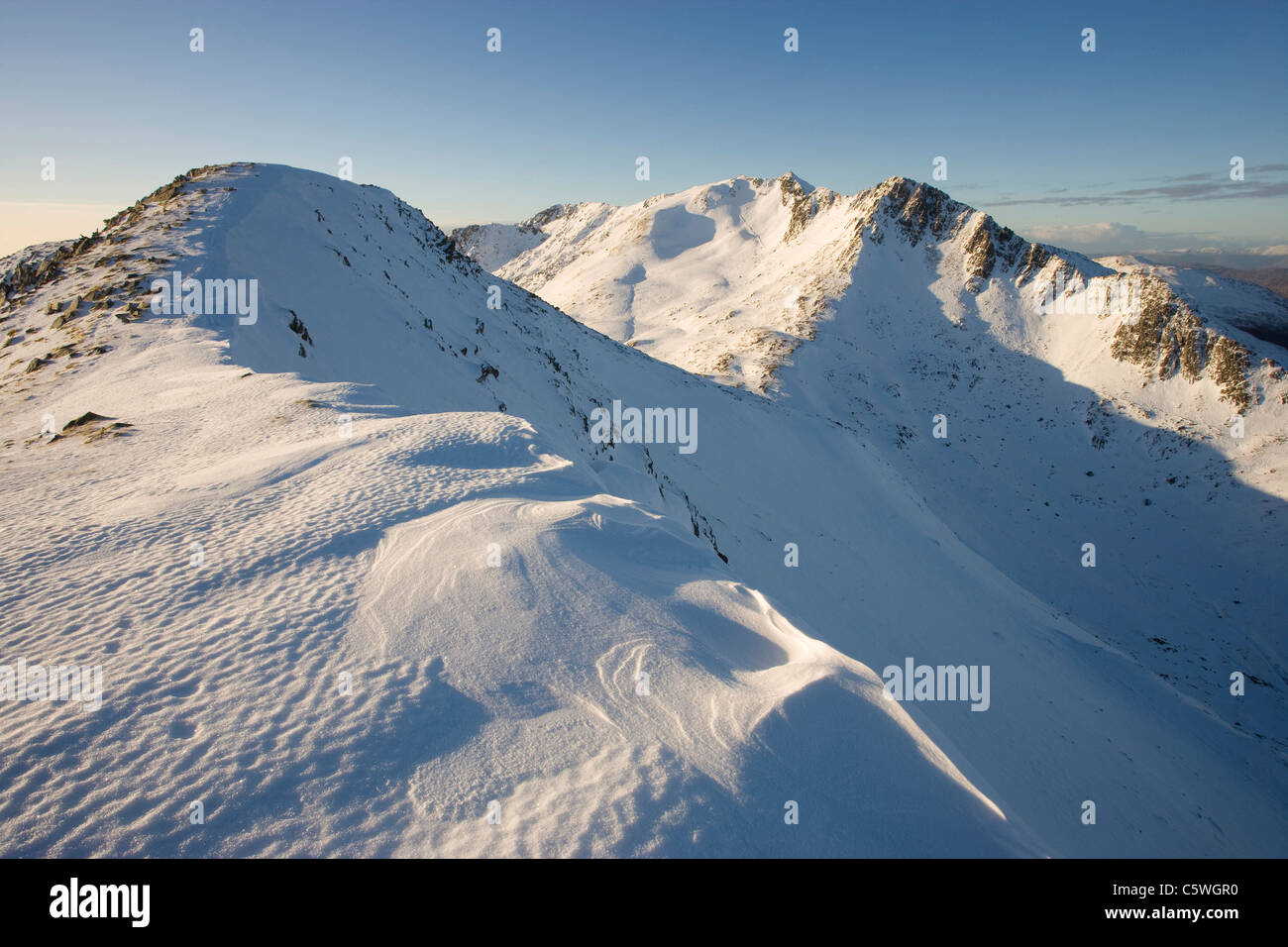 Faochag (die Wellhornschnecke) und Forcan Ridge im Winter, Glen Shiel, Schottland, Großbritannien. Stockfoto