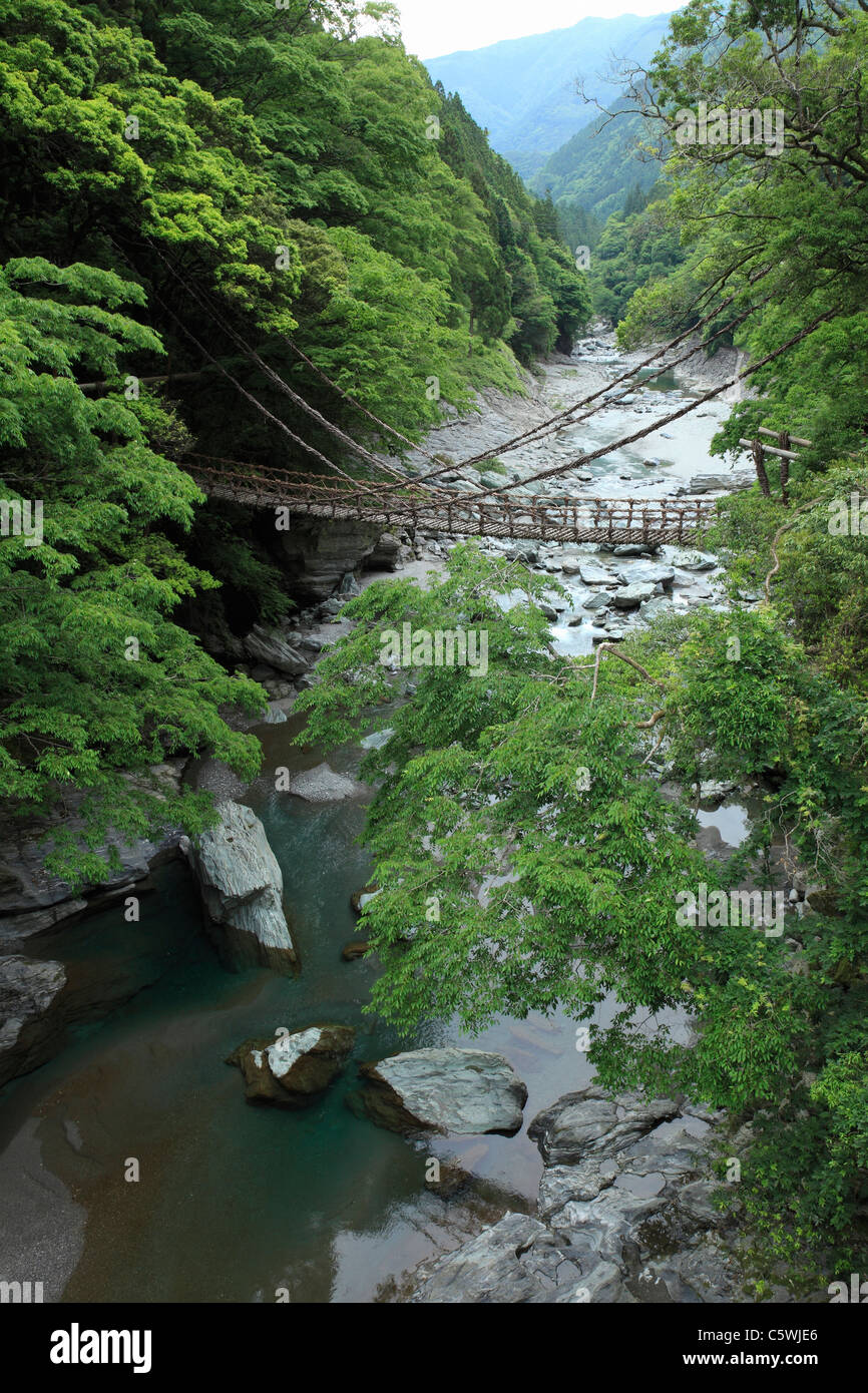 Rebe-Brücke und Iya-Tal, Miyoshi, Tokushima, Japan Stockfoto