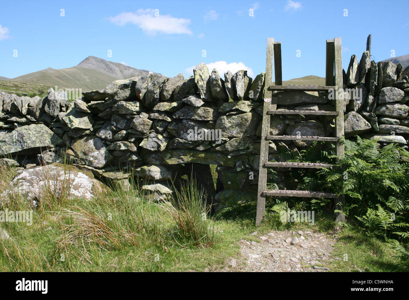 Einen hölzernen Stil über eine traditionelle Trockenmauer In Snowdonia, Wales Stockfoto