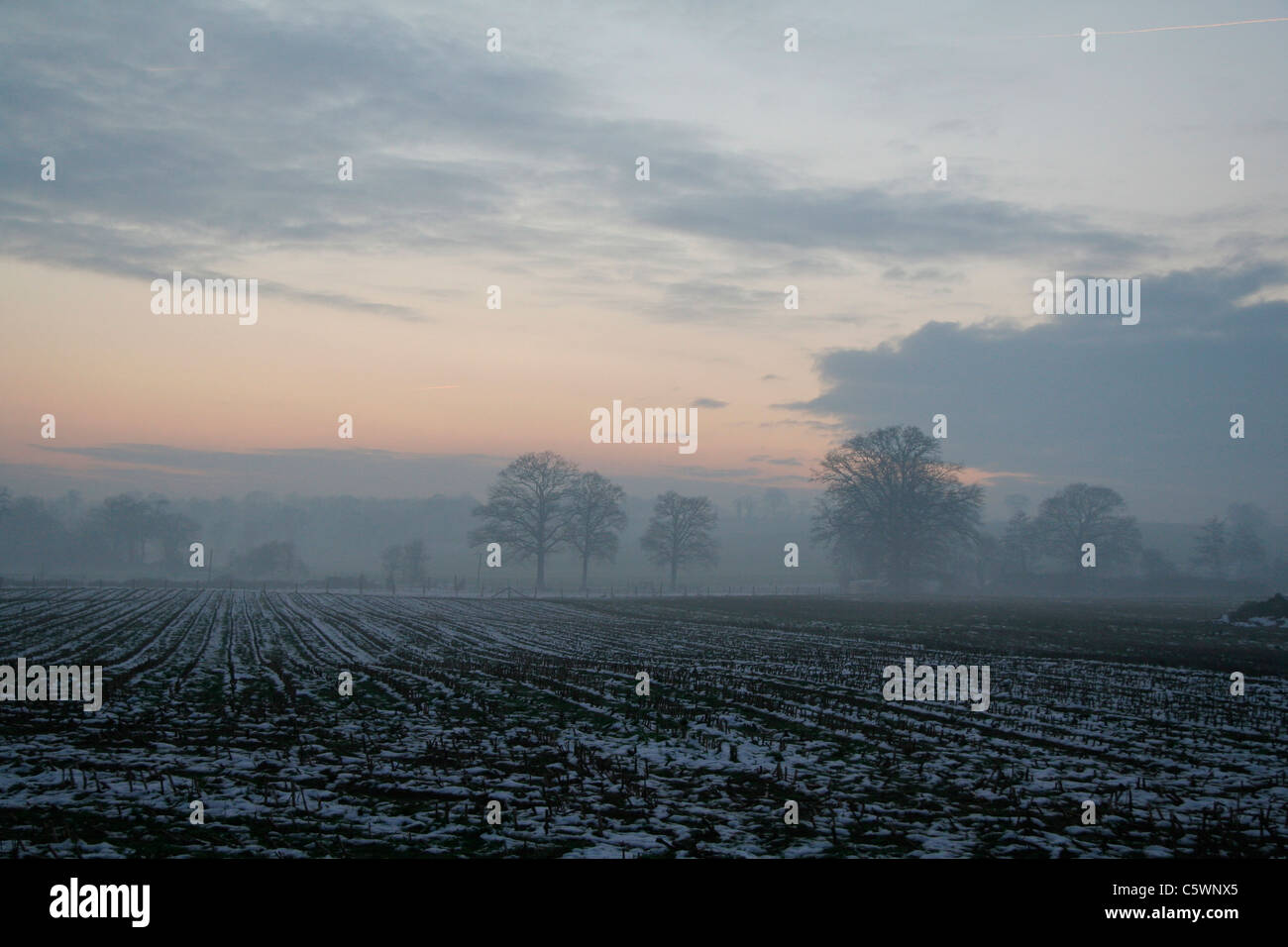 Landschaft im Winter, am späten Nachmittag (Mayenne, Pays De La Loire, Frankreich). Stockfoto