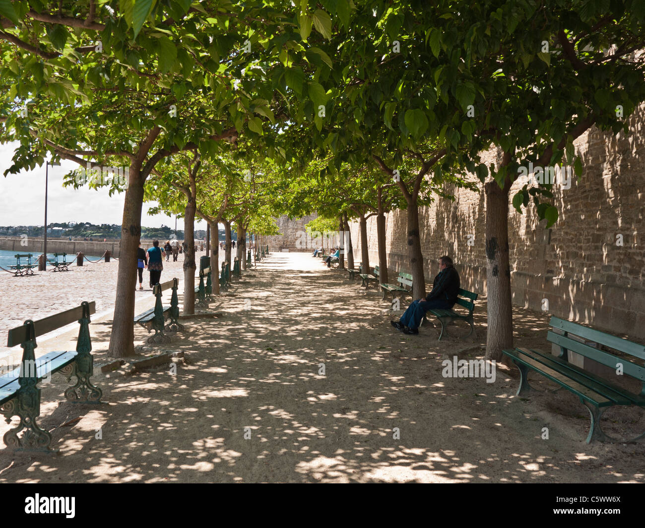 Bänke in th Schatten von einer Reihe von Bäumen in den Hafen von Saint-Malo Bretagne Frankreich Stockfoto