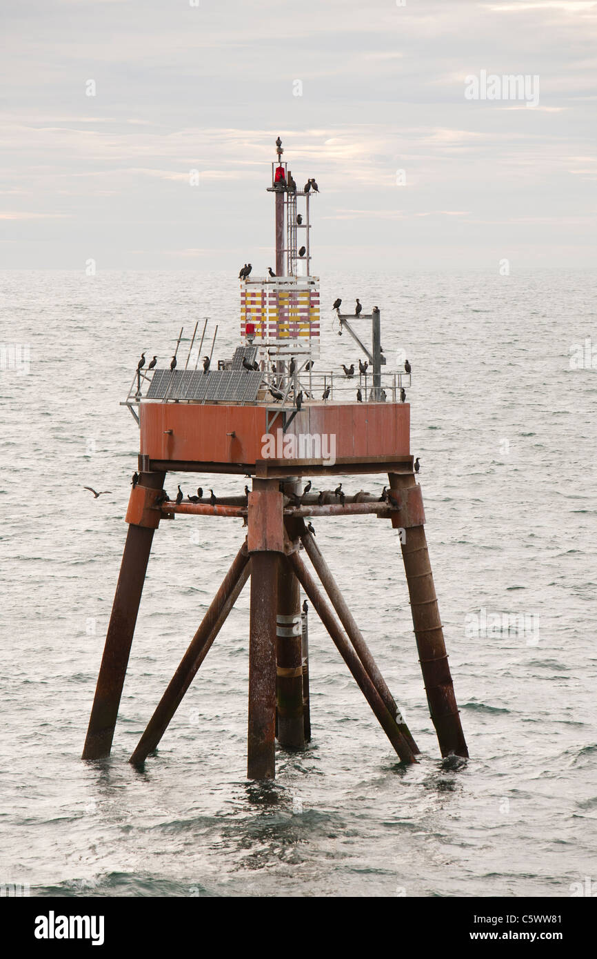 Kormorane auf einem Kanal Licht Rigg off Walney Insel, Cumbria, UK. Stockfoto