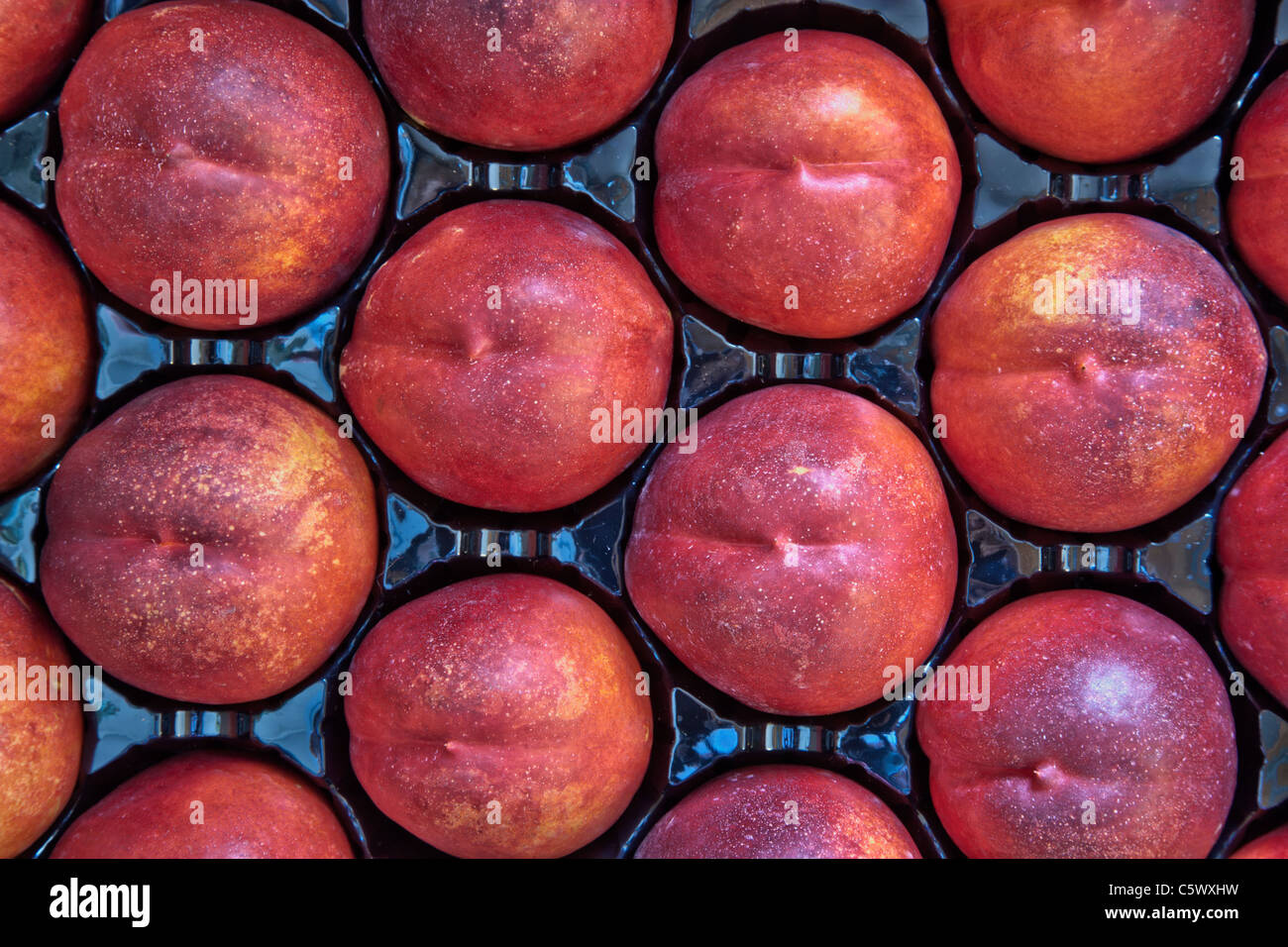 Nektarinen "Honig Blaze" Verpackung Tablett, Bauernmarkt. Stockfoto