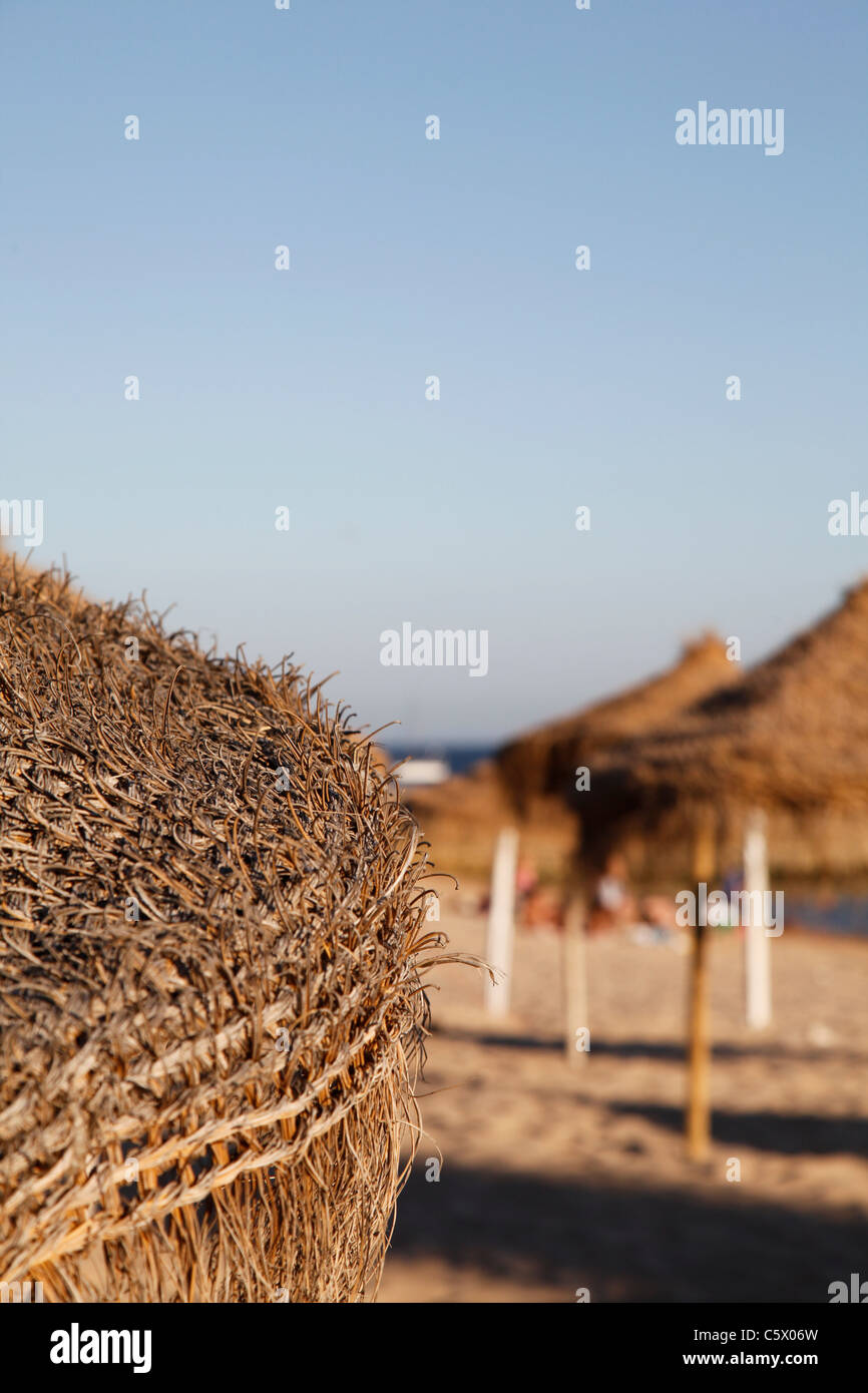 Ein Detail von einem Sonnenschirm Stroh und ähnlicher Sonnenschirme am Sandstrand im Hintergrund unscharf gemacht Stockfoto