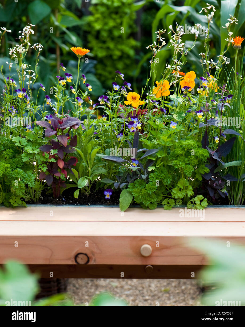 Burgon & Ball 5-A-Day-Garten in 2011 Hampton Court Palace Flower Show, UK Stockfoto