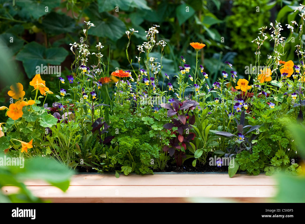 Burgon & Ball 5-A-Day-Garten in 2011 Hampton Court Palace Flower Show, UK Stockfoto