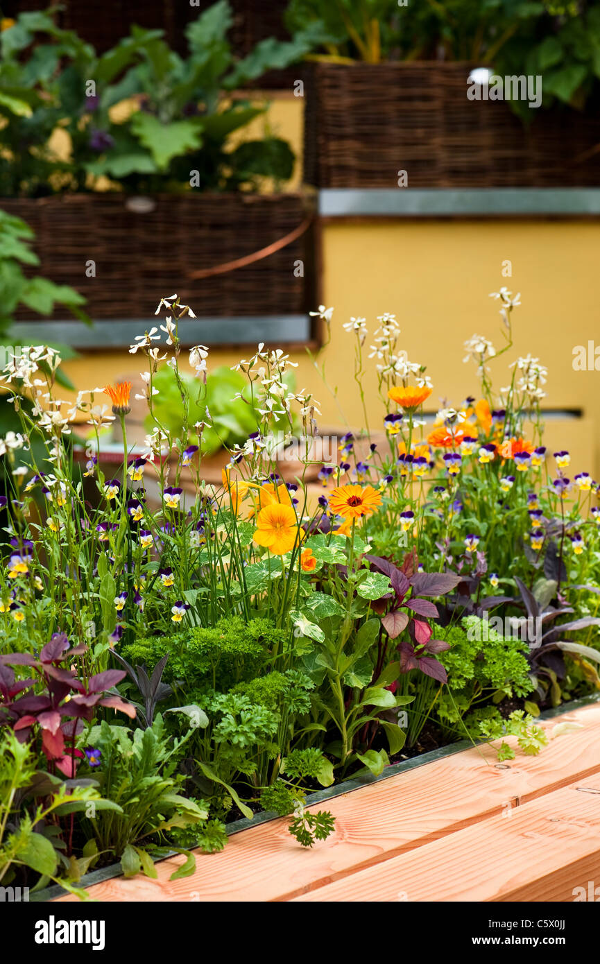 Burgon & Ball 5-A-Day-Garten in 2011 Hampton Court Palace Flower Show, UK Stockfoto