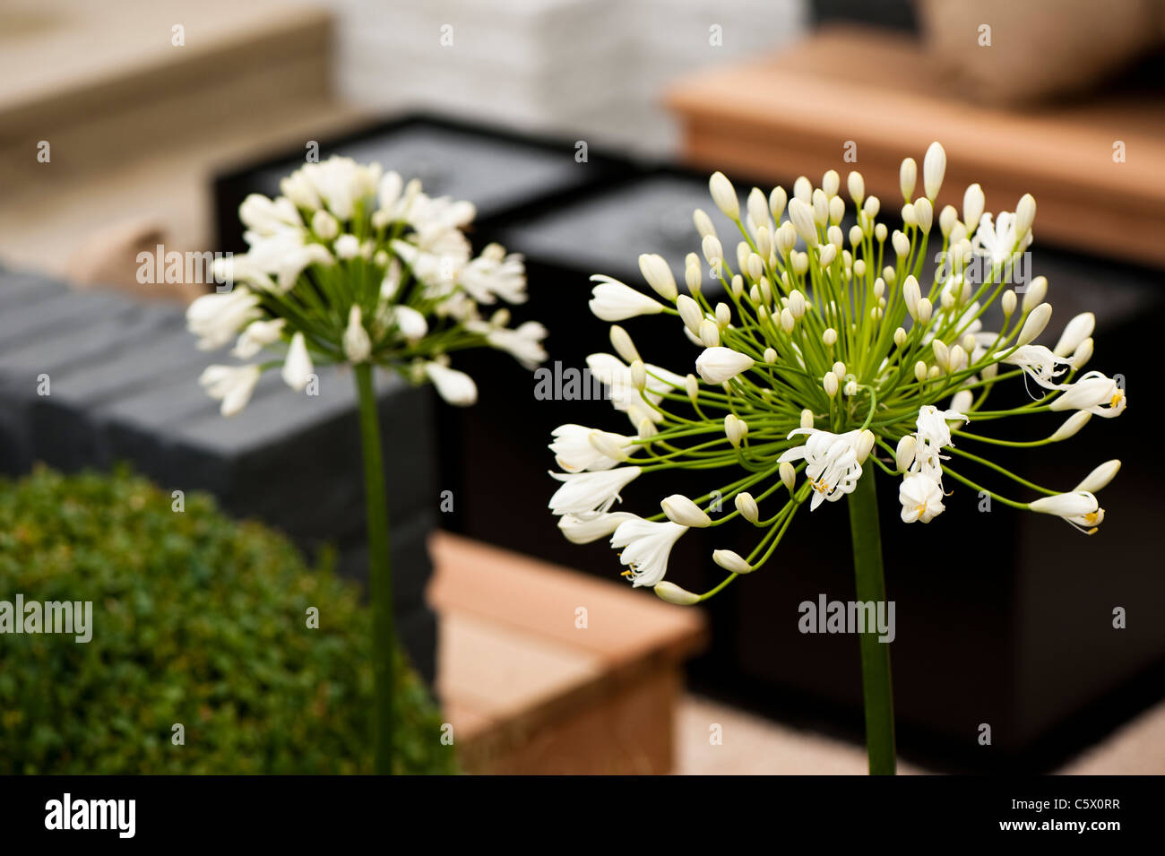 "Minimalen" Schaugarten auf RHS Tatton Park Flower Show 2011 Stockfoto