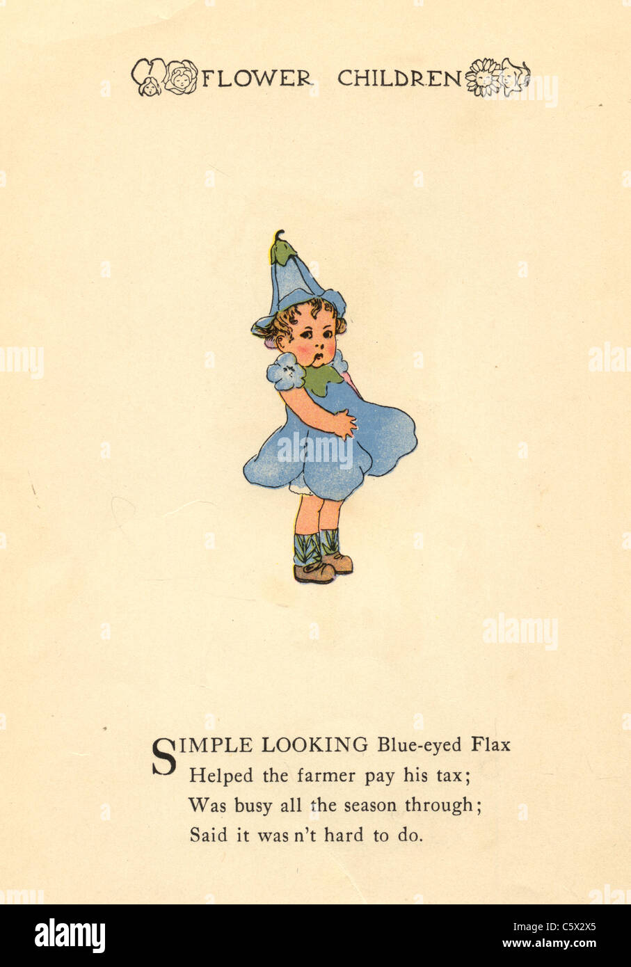 Blue-Eyed Flachs - Blumenkind Illustration aus einem antiquarischen Buch Stockfoto